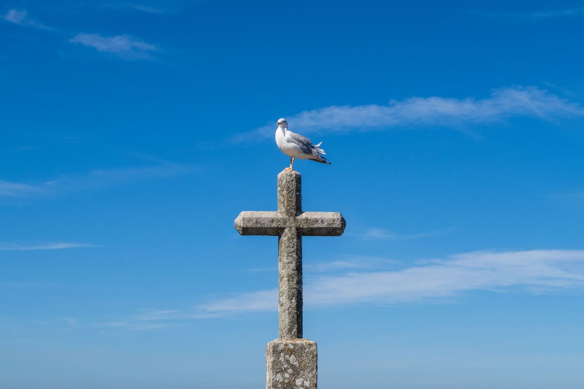 torticolis signification spirituelle